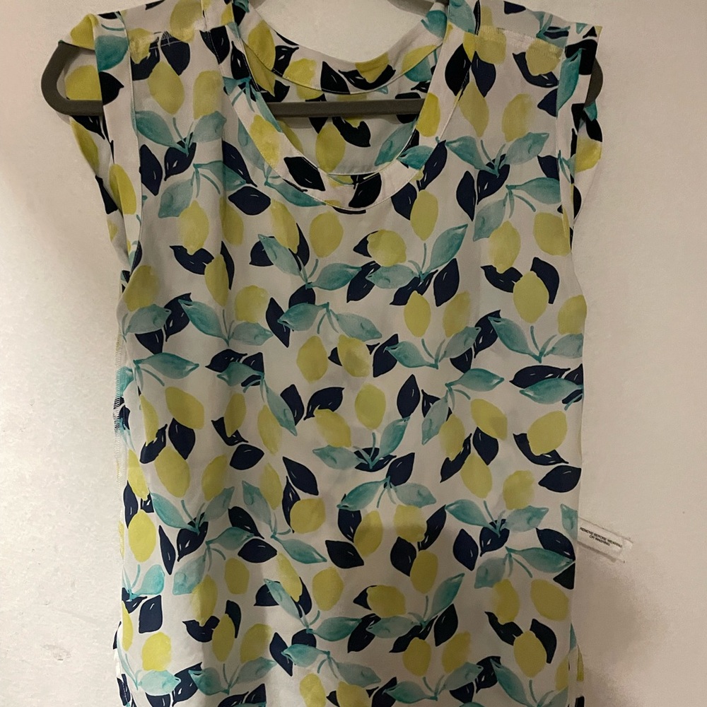 Ann taylor sleeveless blouse